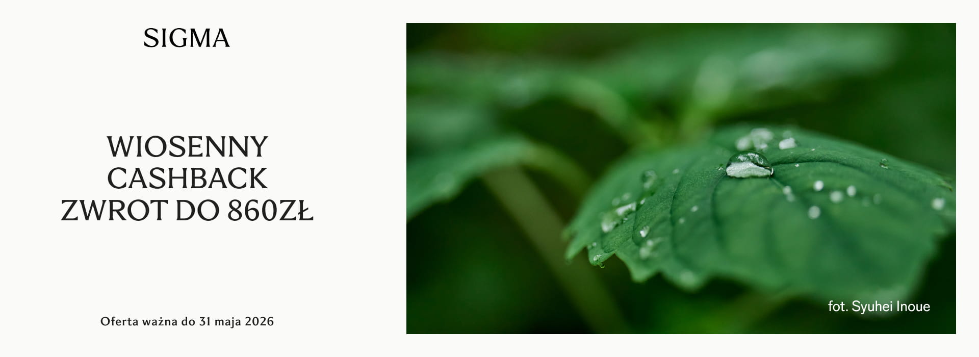 SIGMA Wiosenny Cashback 2026